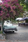 37 Colonia
